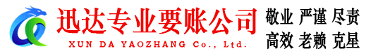 新干迅达清债公司